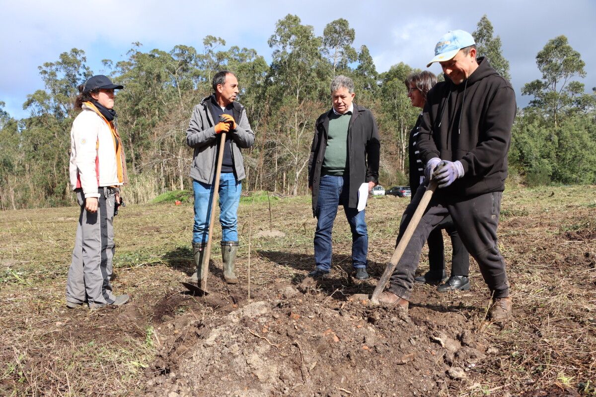 Plantación de árboles en Tomeza para "compensar" el CO2 de la Gran Final de las Series Mundiales