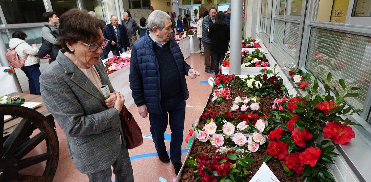 XXII Exposición de la Camelia en el Colegio de Campolongo