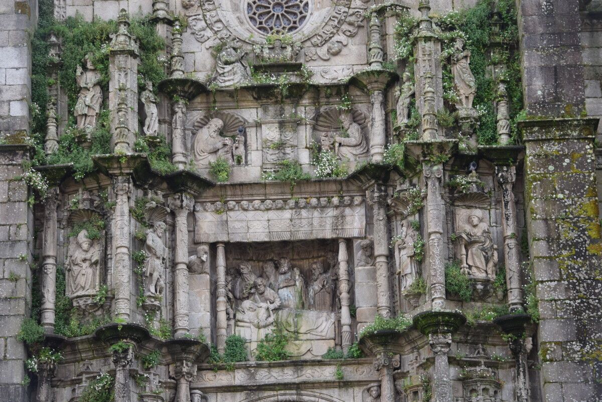 Fachada de la Basílica de Santa María llena de hierbajos