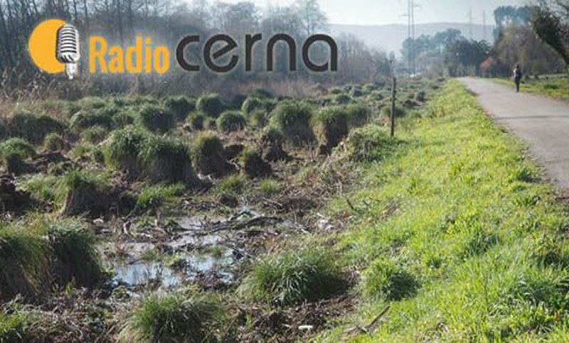 Radio Cerna 31ene2018