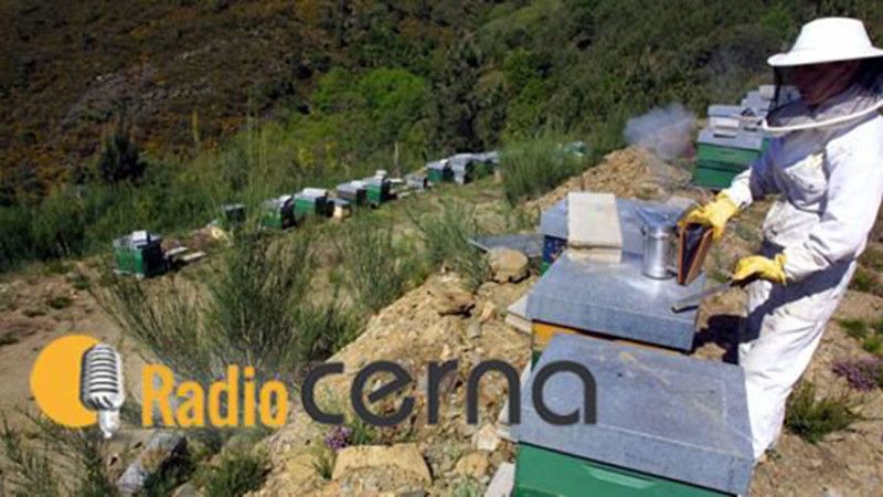 Radio Cerna 19mar18