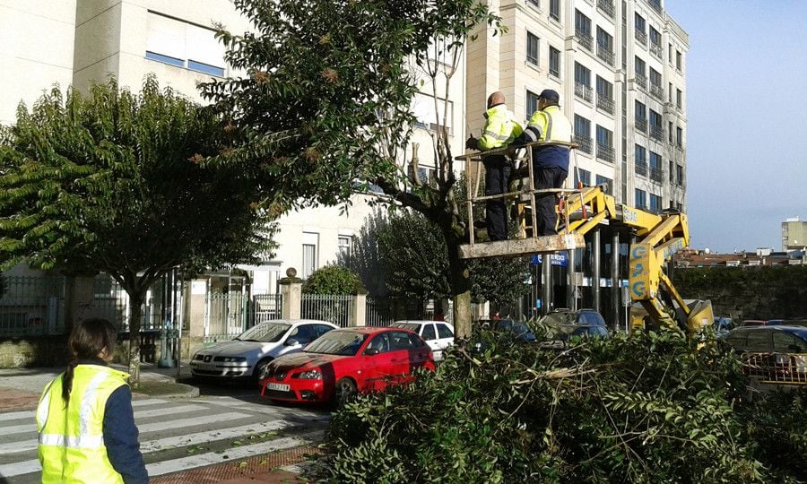 Trabajos de jardinería en la plaza de Barcelos