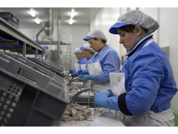 Trabajadoras de Cabomar Congelados