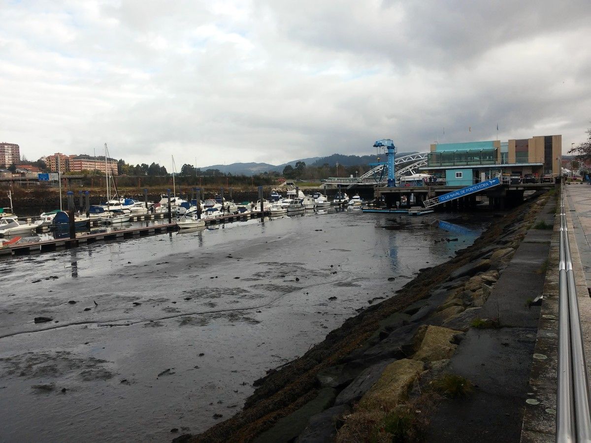 Lodos que se ven en el fondo del río Lérez cuando baja la marea