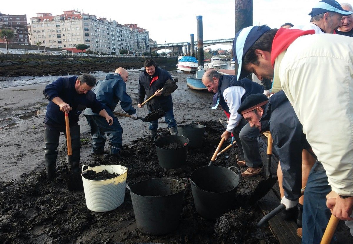 Magín Froiz y David Cal recogen lodo en el río Lérez