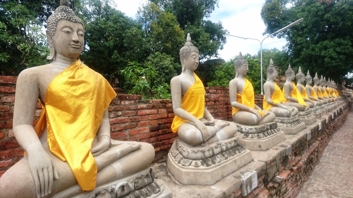 Budas a custodiar Wat Yai Chaimongkol