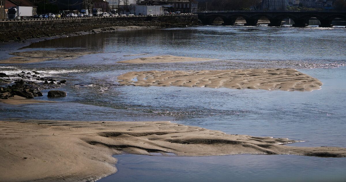 Sedimentos no río Lérez