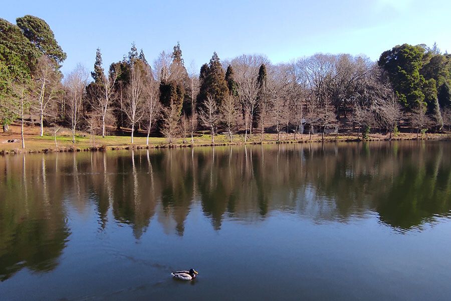 Lago Castiñeiras