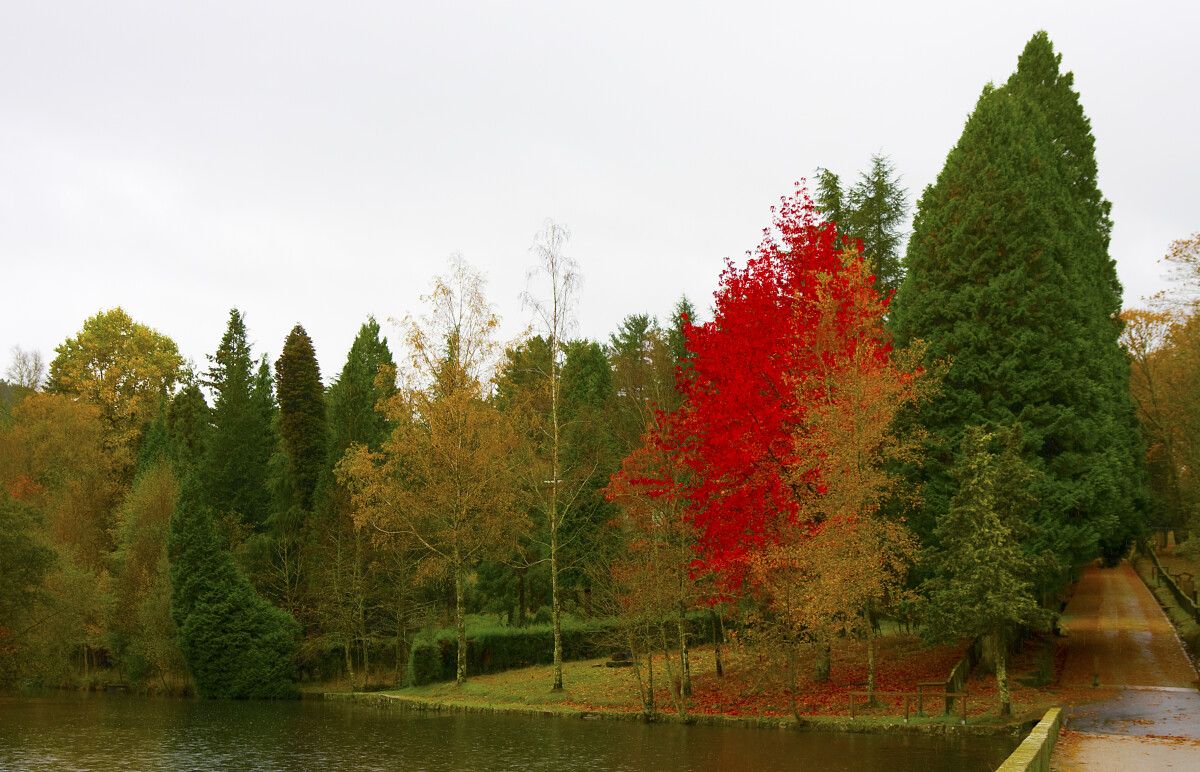 Lago Castiñeiras