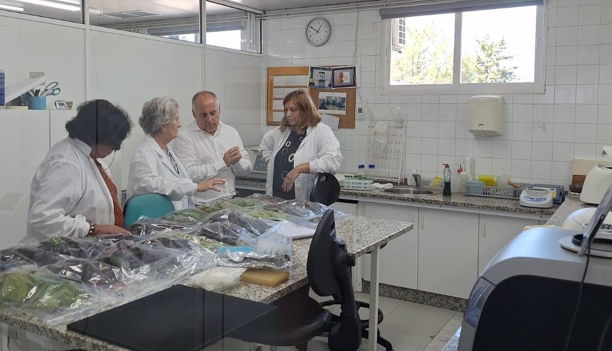 Visita a la Estación Fitopatológica de Areeiro