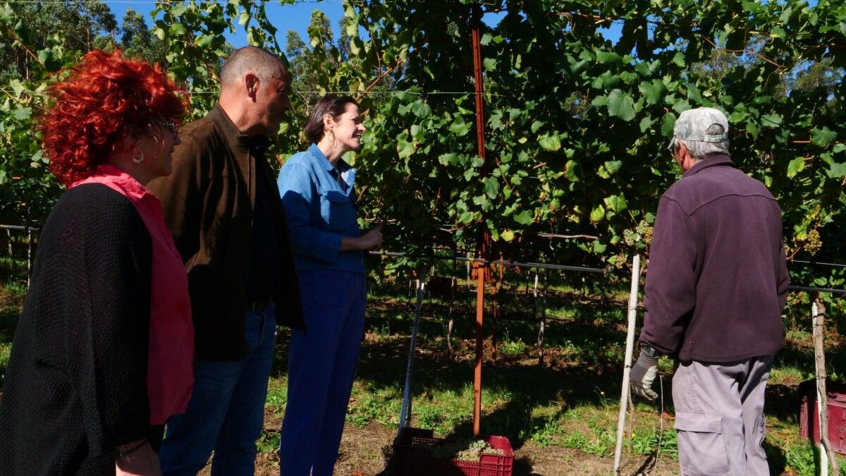 Visita a la vendimia de la portavoz nacional del BNG, Ana Pontón