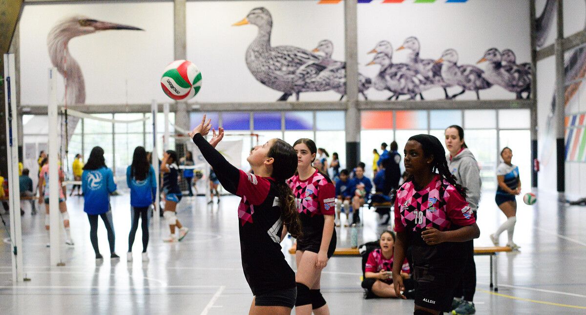 Campeonatos gallegos de voleibol