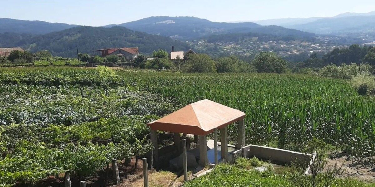 Vista de fincas en Vilaboa