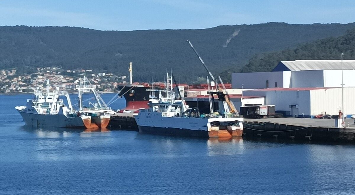 Dos buques congeladores descargando calamar de Malvinas