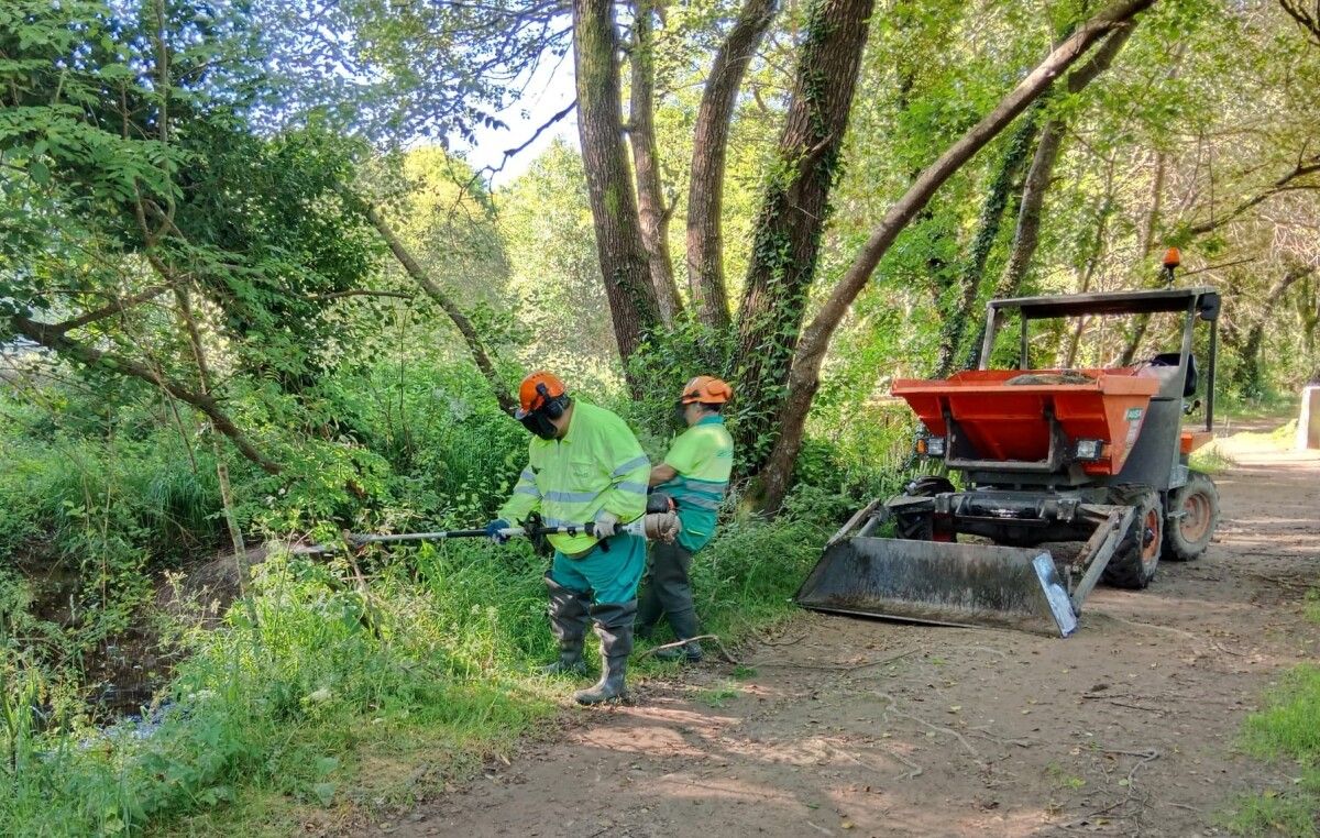 Augas de Galicia realiza labores de conservación en el río Tomeza