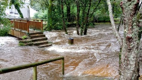 Río Gallo en Cuntis