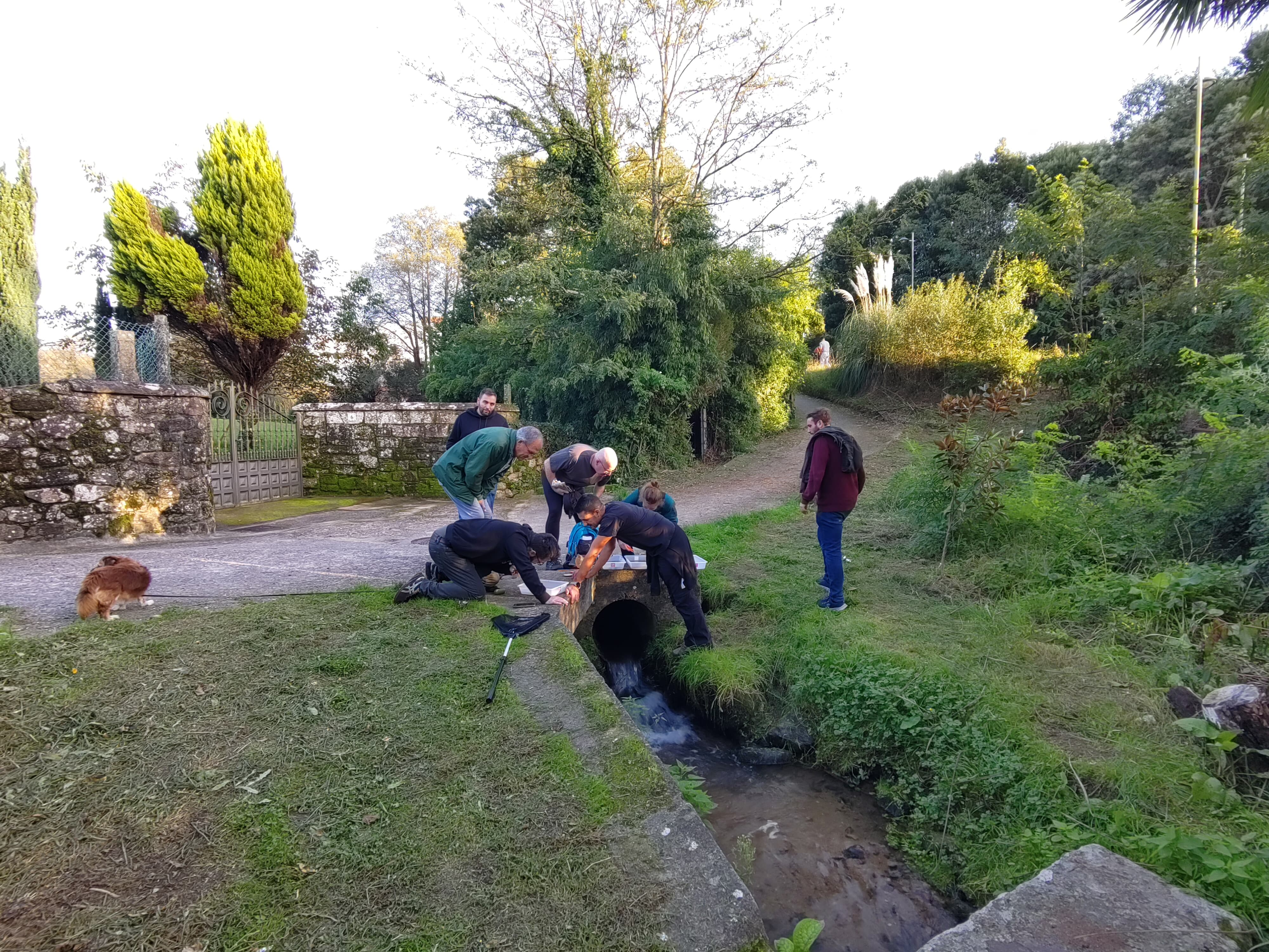 Saída de ciencia popular polo regato Valdecorvos