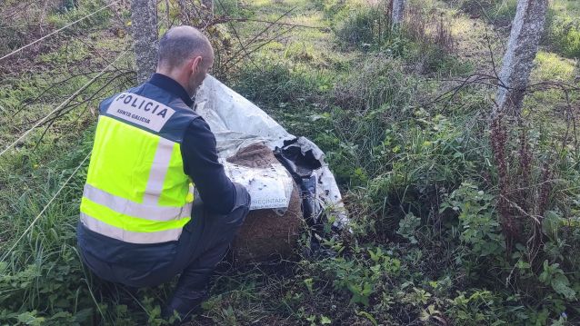 Un agente de la Policía Autonómica observa la pieza arqueológica encontrada en Caldas