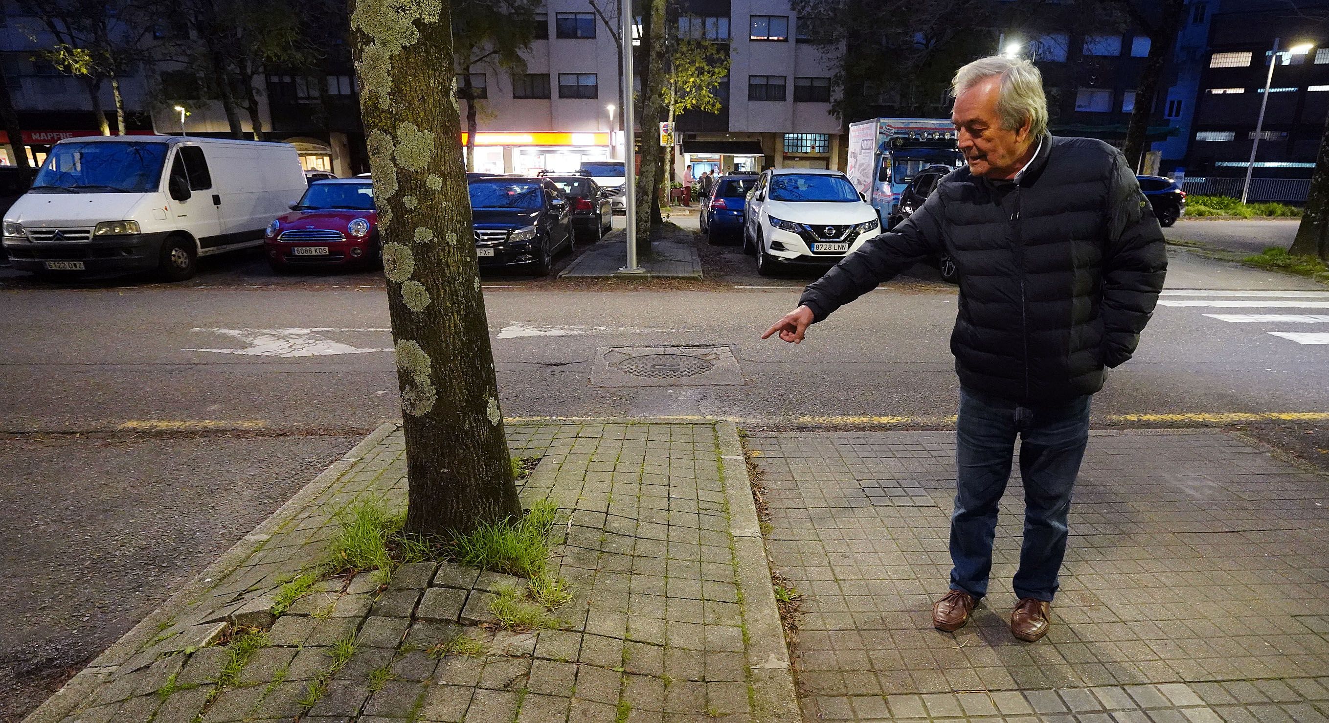 Jose Luis Cid sinala o estado dunha árbore da Avda. Augusto García Sánchez