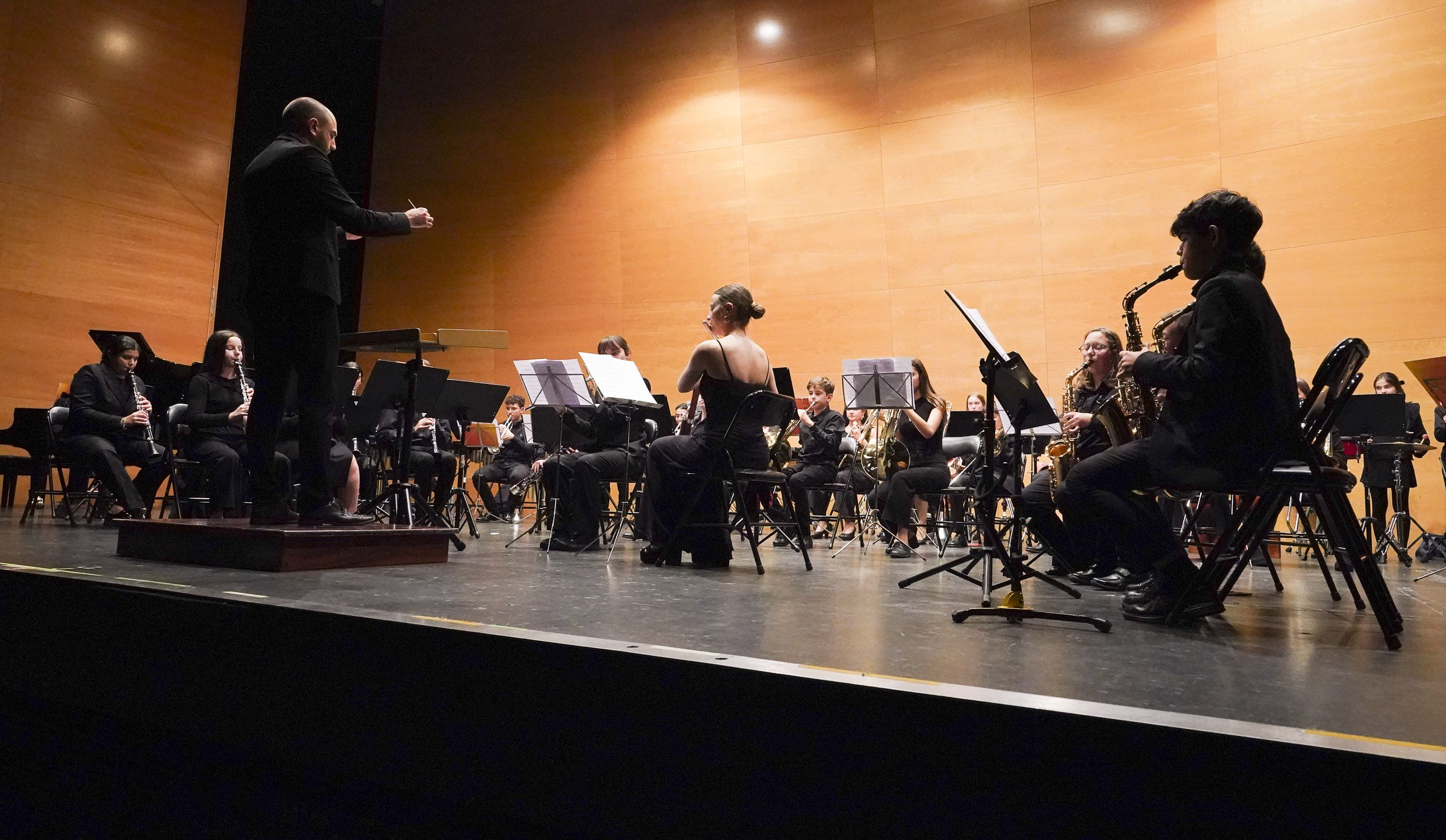 Más de un centenar de músicos de la Banda de Salcedo celebran el concierto de Santa Icía