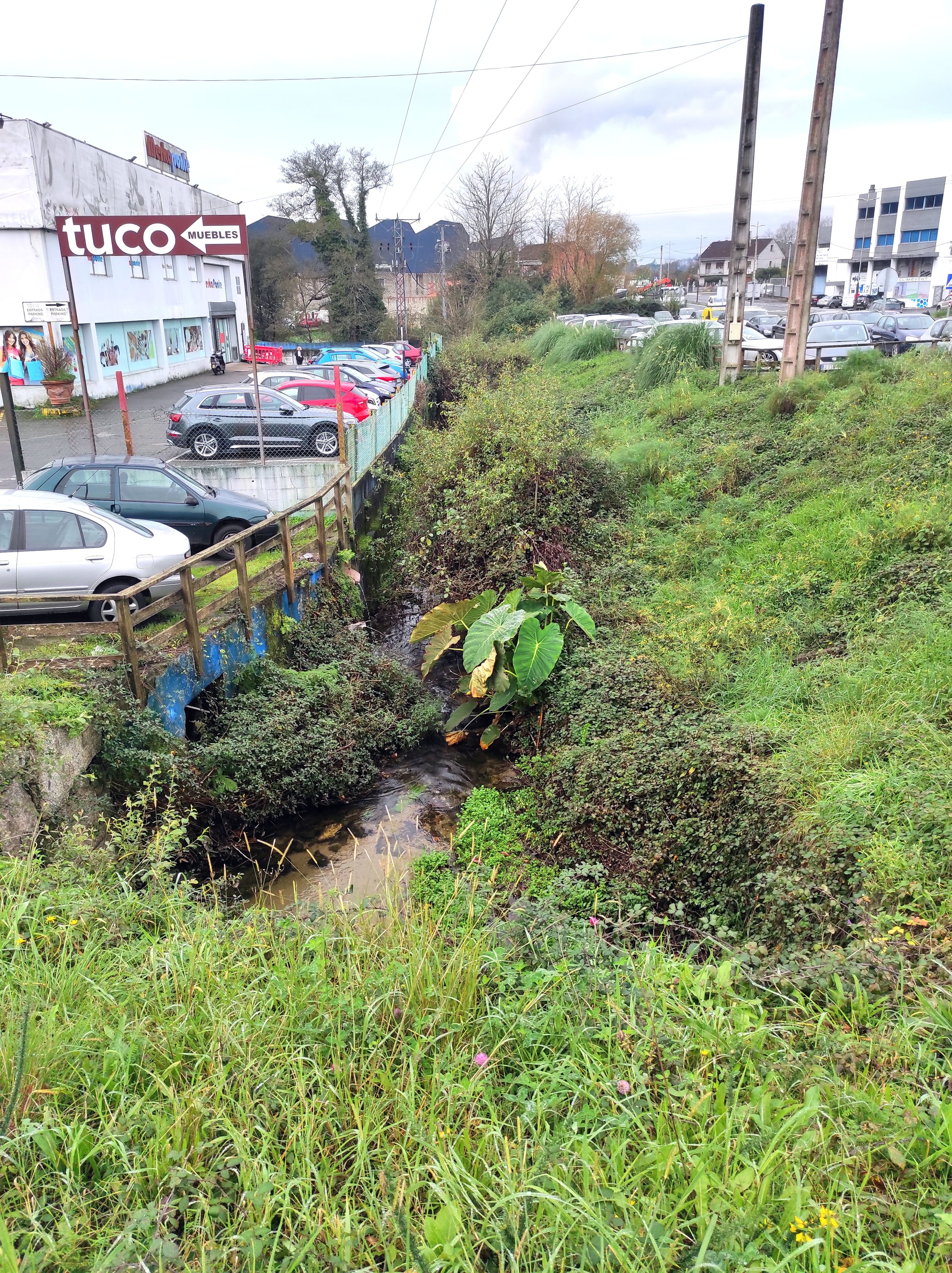 Maleza do río do Marco