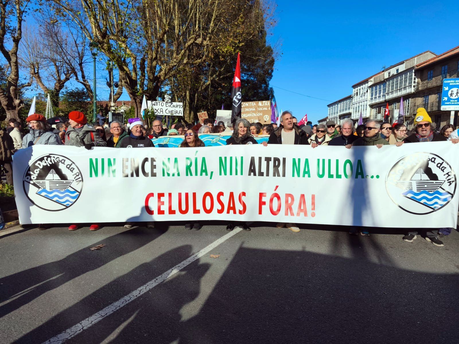 Marcha contra o proxecto de Altri en Palas de Rei