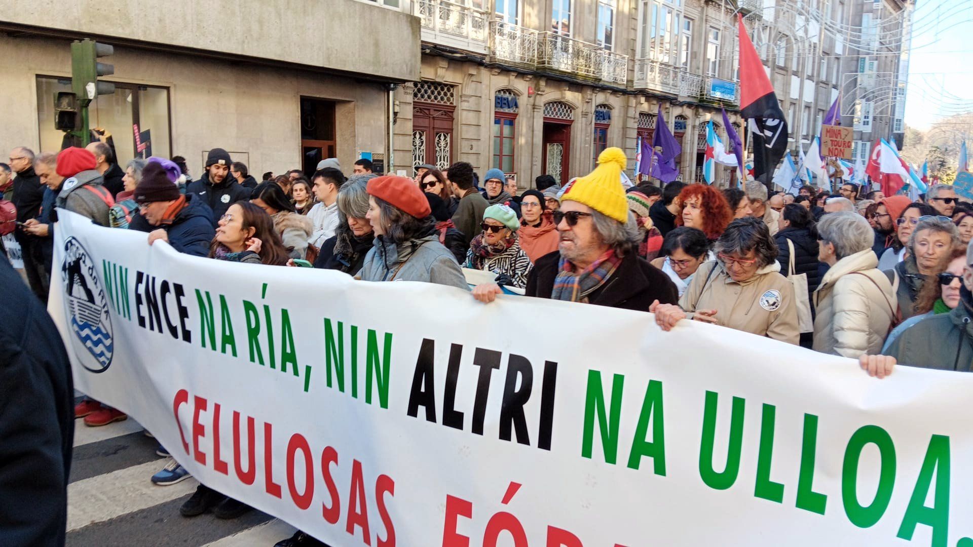 Marcha contra o proxecto de Altri en Palas de Rei