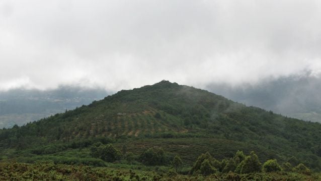 O picouto de Castrodiz.