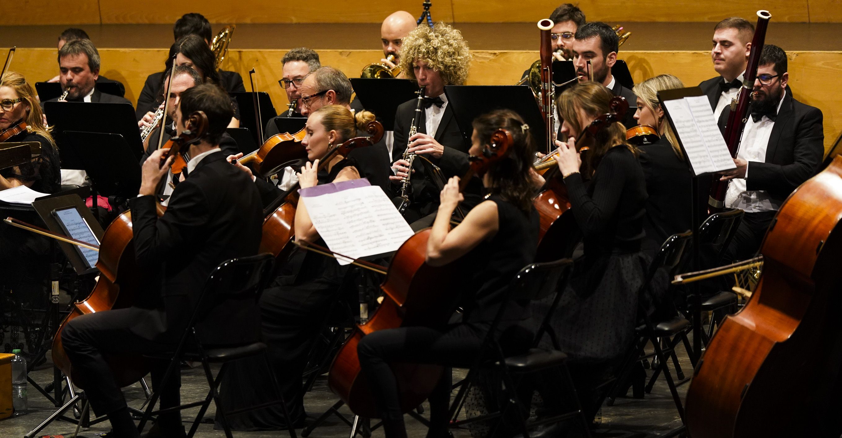 Concierto de Aninovo 2025 de la Orquestra Sinfónica de Pontevedra