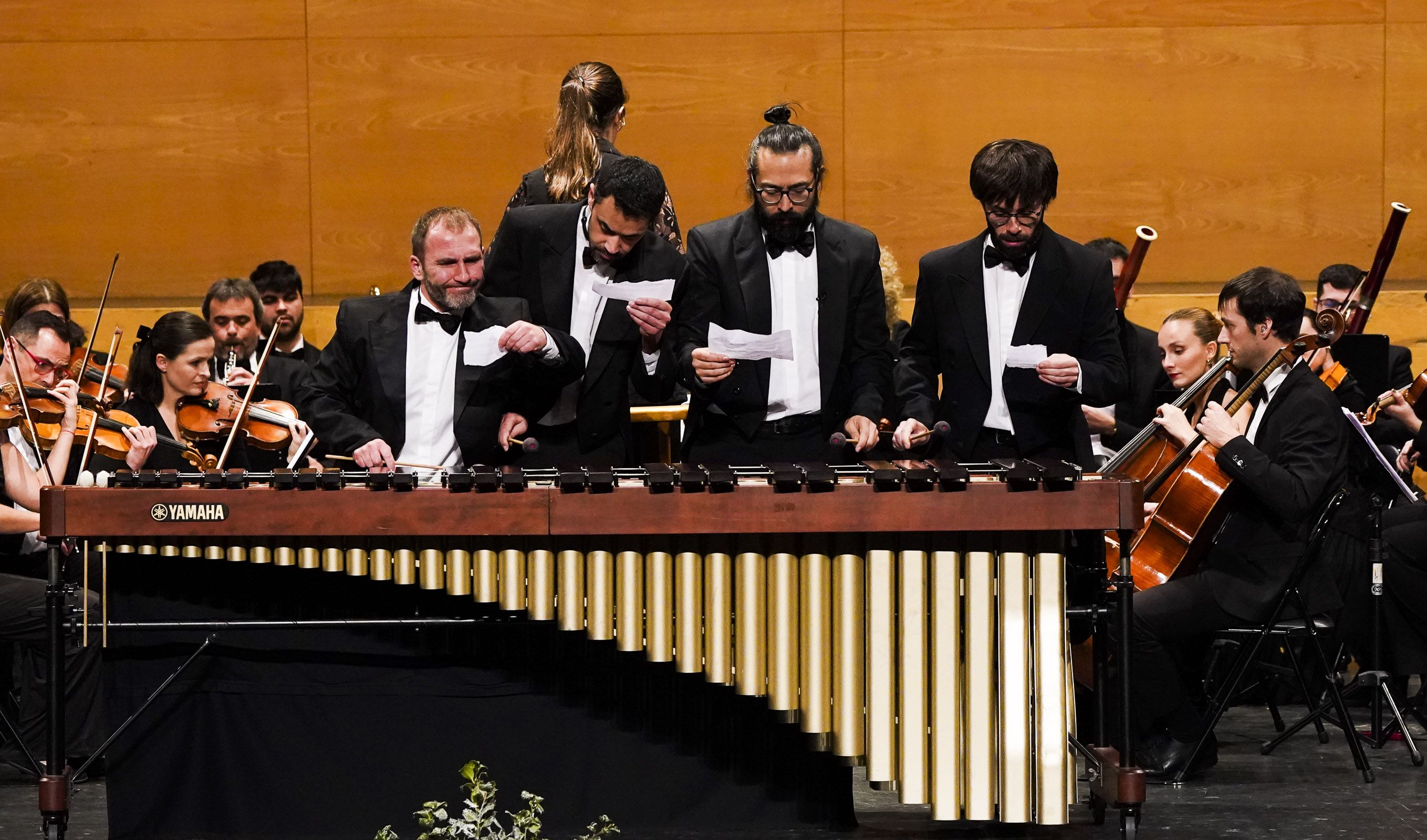 Concierto de Aninovo 2025 de la Orquestra Sinfónica de Pontevedra