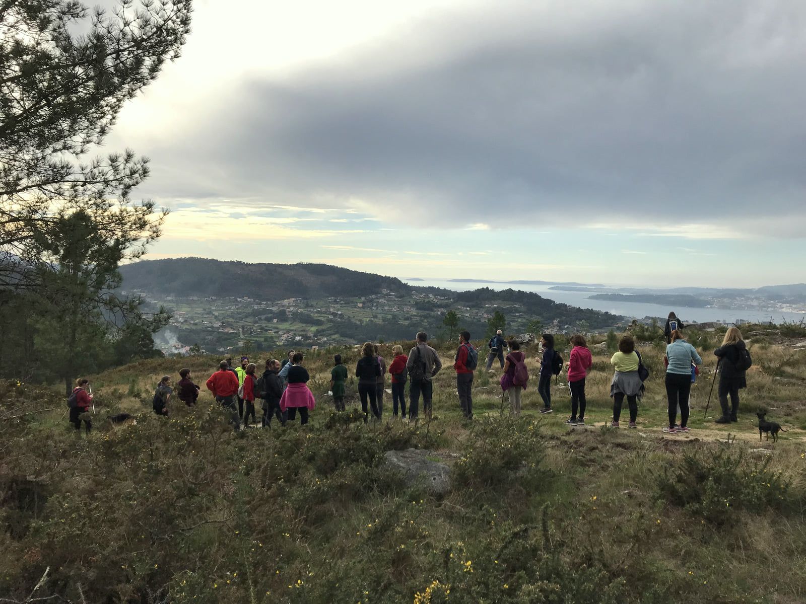 Actividade da Plataforma en Defensa dos Montes do Morrazo