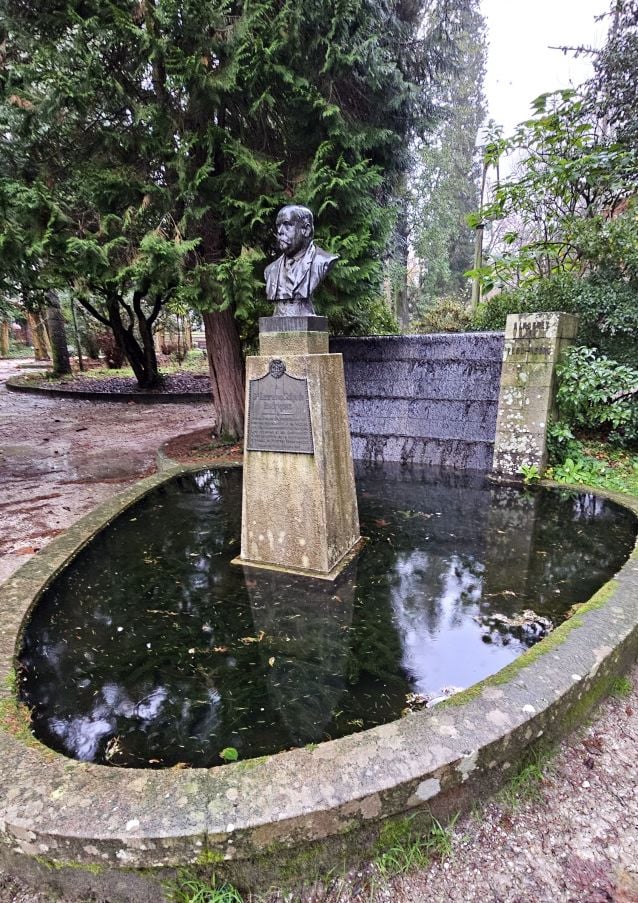 Estanque de Caldas onde permanece a alga invasora