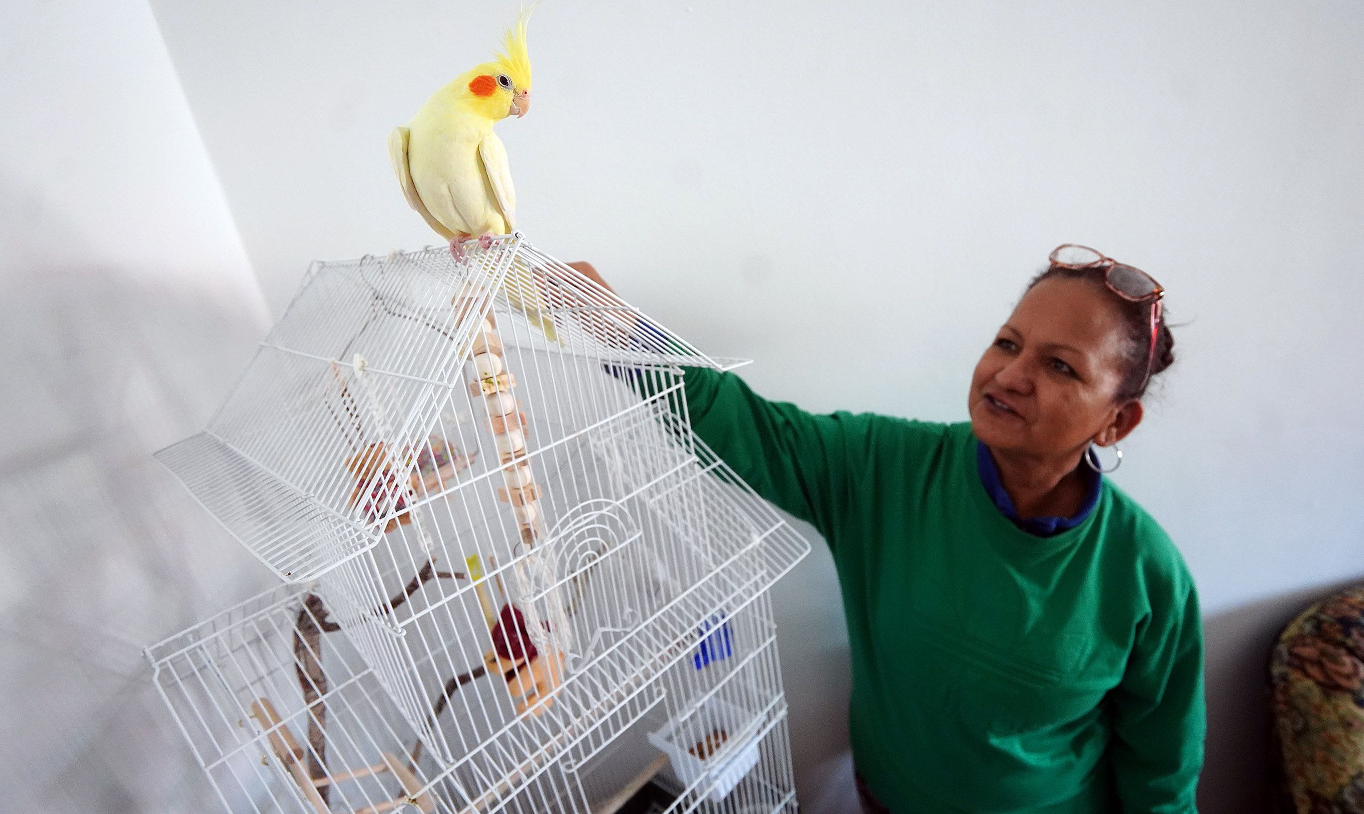 Yadira e a ninfa Paco, sobre a gaiola que compartía con Chia