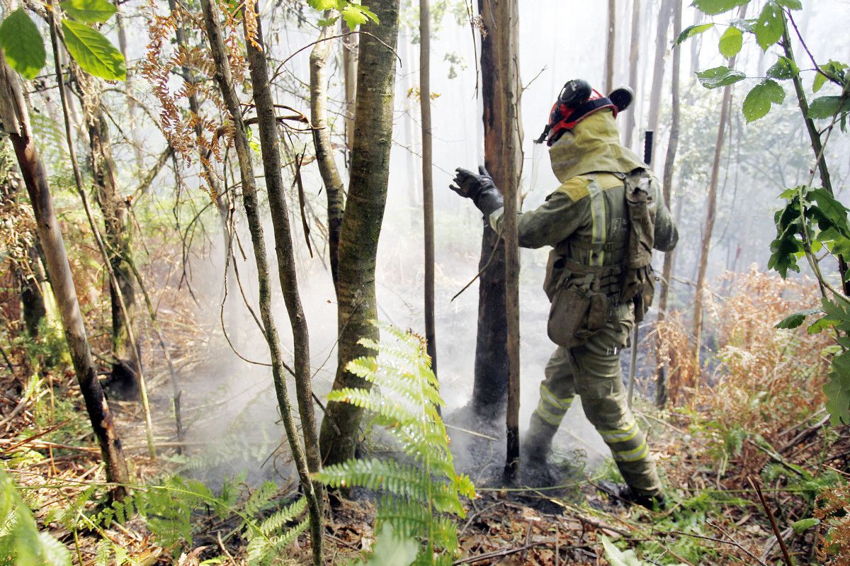 Incendio forestal