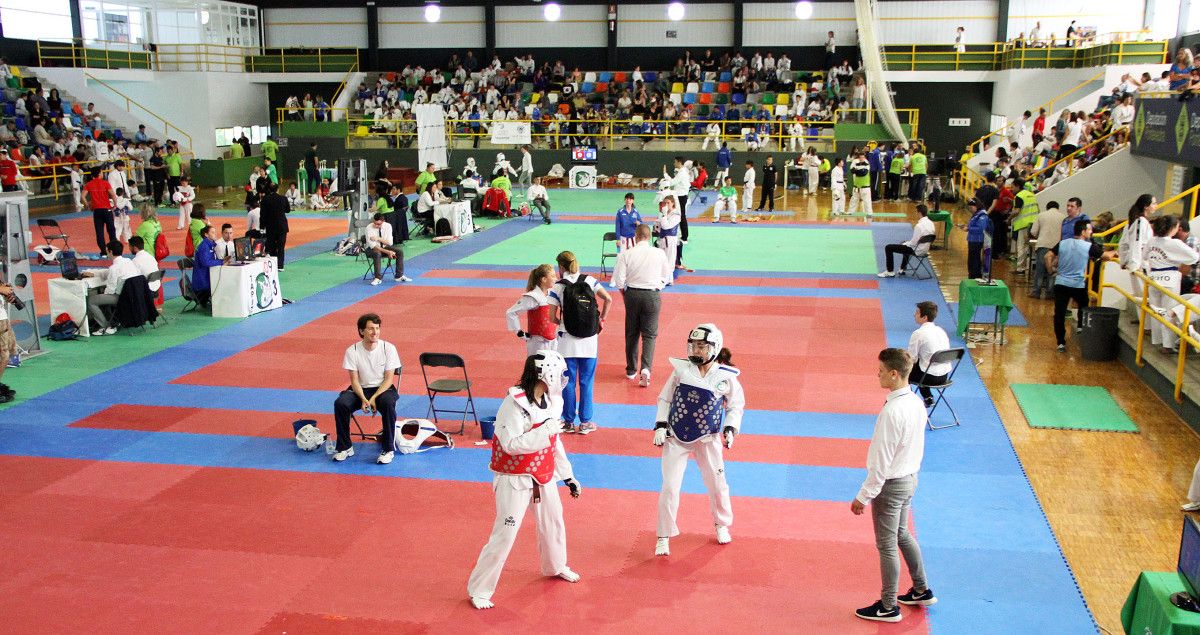  Open Cidade do Lérez de Taekwondo