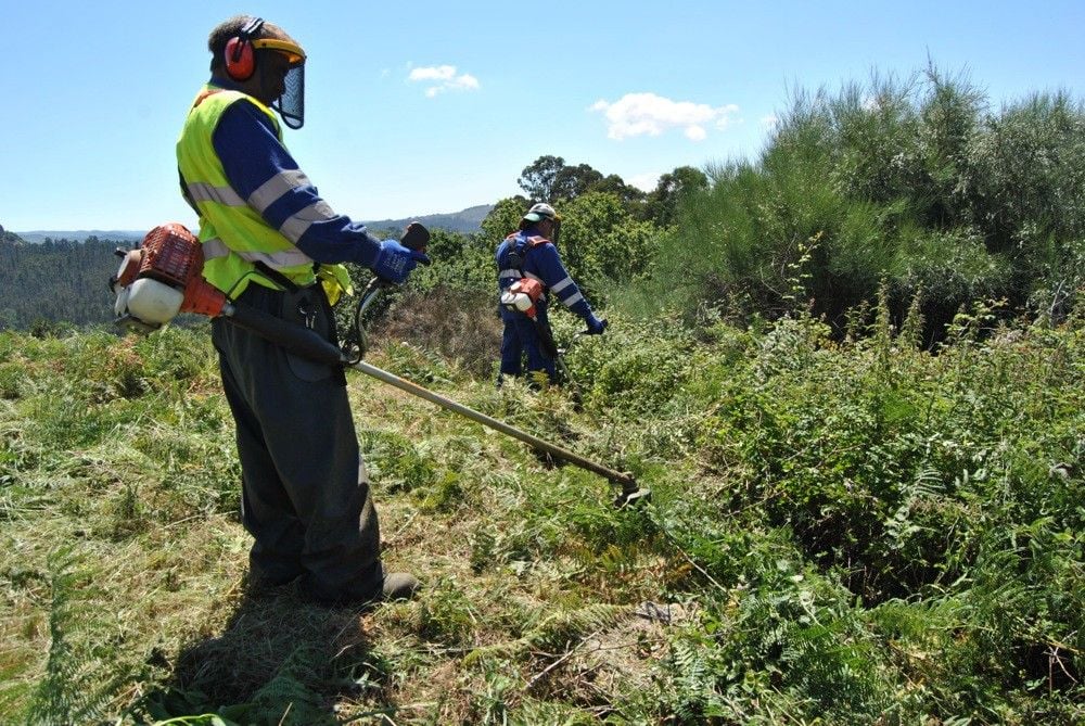 Trabajos de desbroce en los caminos rurales de Ponte Caldelas