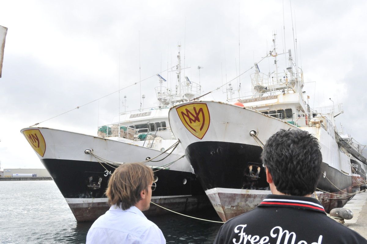 Cefalopoderos no Porto de Marín