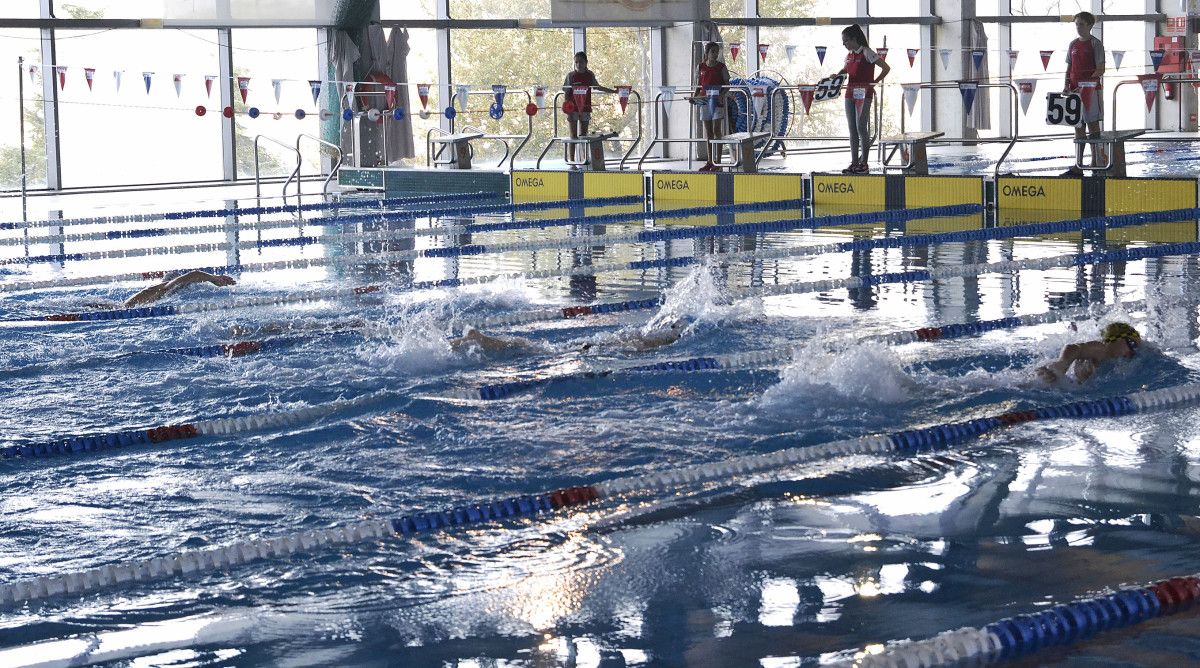 Campeonato Gallego de Natación de Invierno