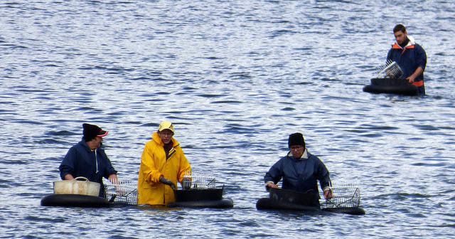 Mariscando en la ría de Pontevedra