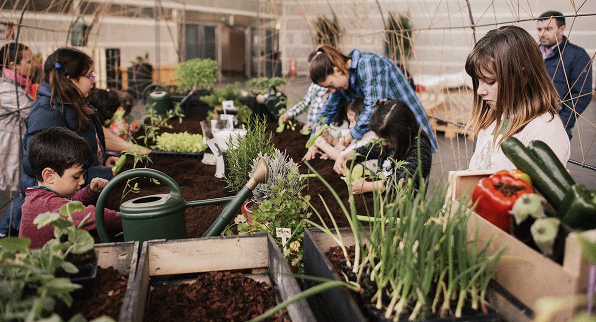 "Deseña a túa horta ecolóxica", la nueva actividad sorpresa del Salón del Libro 