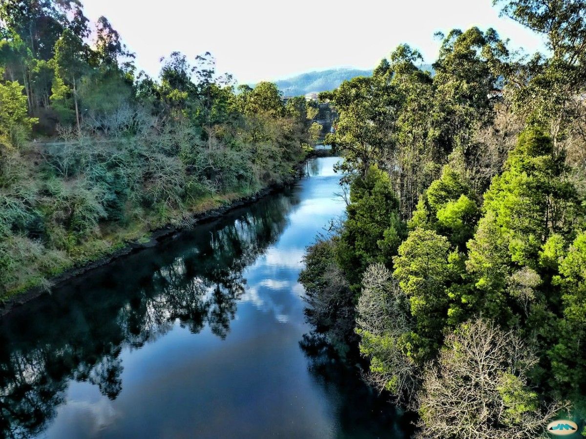 El río Lérez a su paso por Monte Porreiro