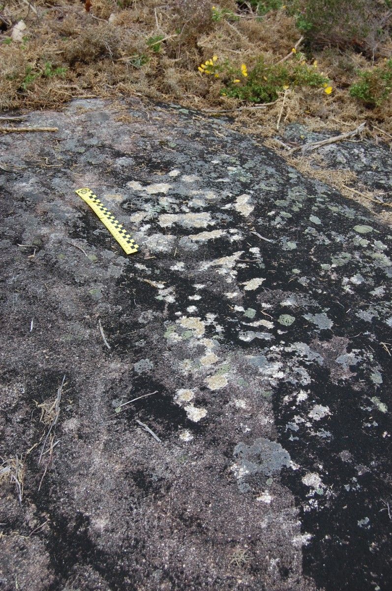 Petroglifo dañado en el monte vecinal del lugar de Parada, en la parroquia de San Isidro de Monte, en Campo Lameiro