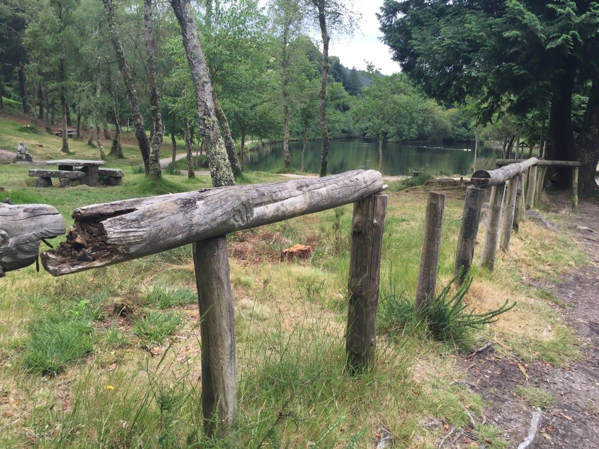 Mal estado del Lago de Castiñeiras