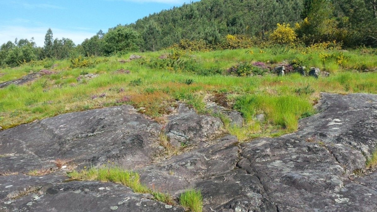 Área arqueológica de Tourón