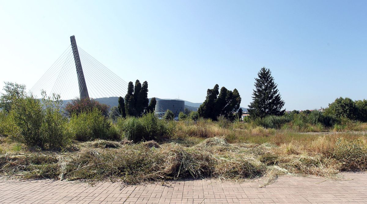 Zona de los antiguos terrenos de Tafisa donde apareció el cráneo