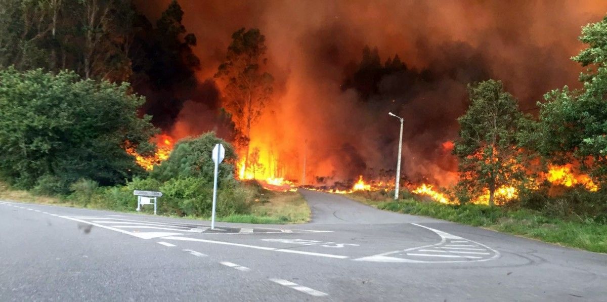 Incendio forestal en Tenorio