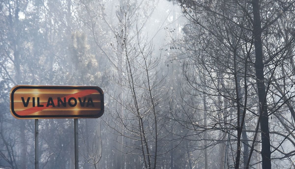 Superficie quemada en el incendio de Cotobade