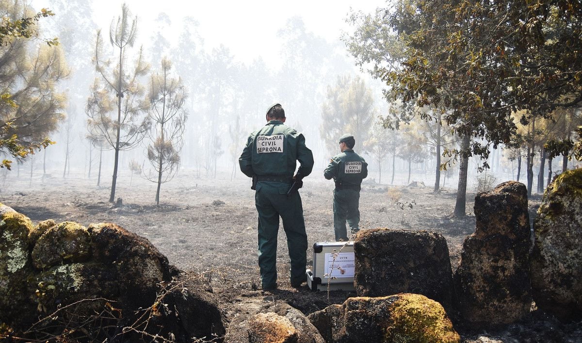 El Seprona investiga el incendio de Tenorio, en Cotobade