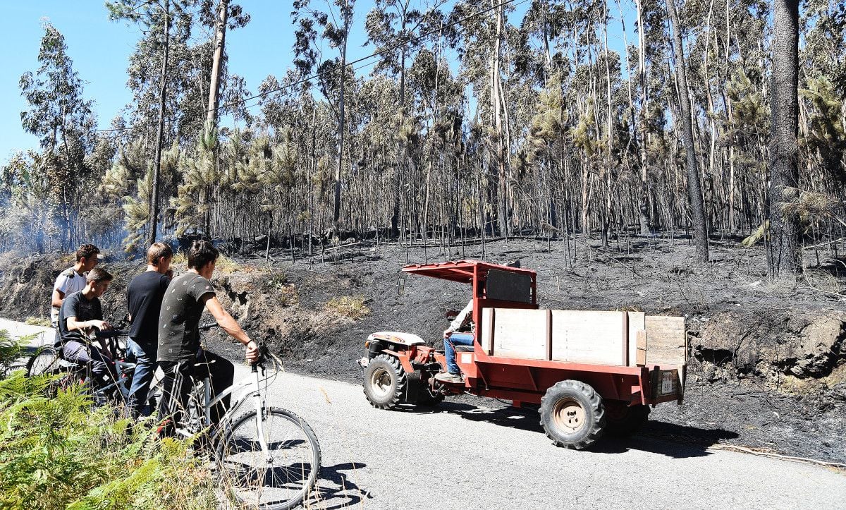 Incendio en Castelo, Lérez