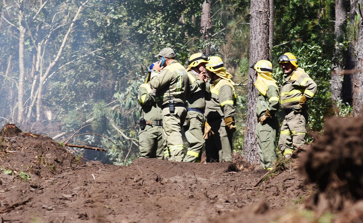 Incendio forestal en Castelo (Lérez)